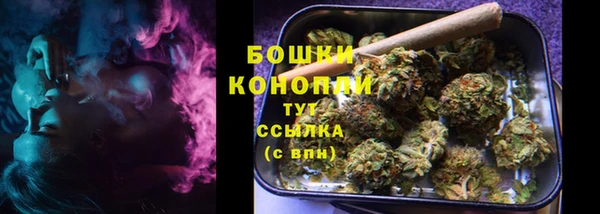 гидропоника Медногорск
