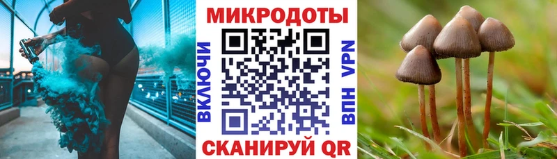 Галлюциногенные грибы GOLDEN TEACHER  дарк нет клад  Болгар  даркнет сайт 